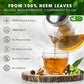 FRESHDRINKUS Neem Leaf Tea Bags, 100% Natural Herbal Tea, Vegan, 100 Count