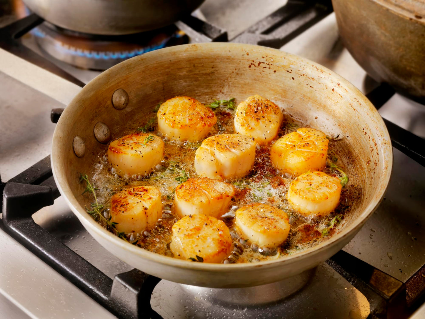 New York Steak & Seafood Jumbo Scallops - Frozen Sea Scallops - Wild Caught Fresh Dry Scallops Without Water Added (10 Lbs. Scal
