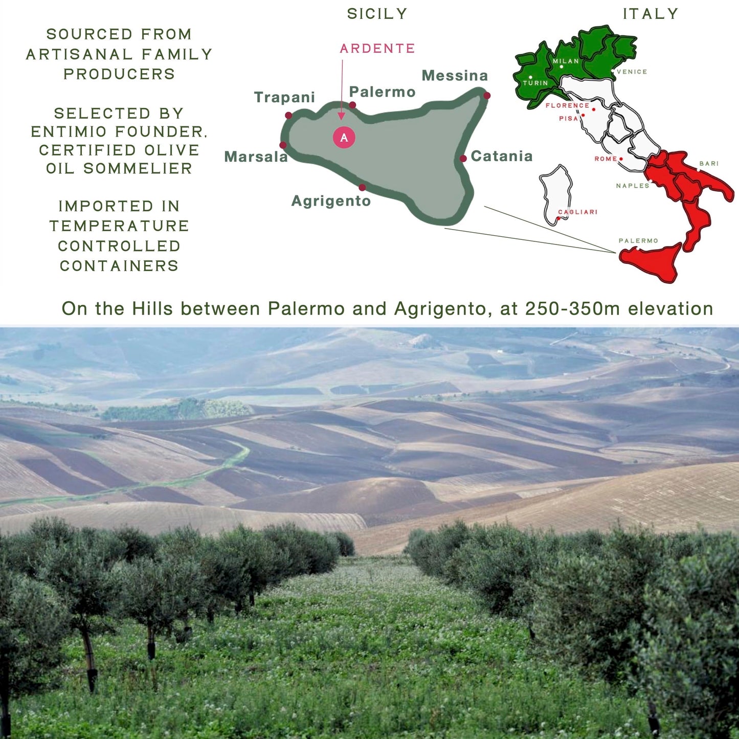 ENTIMIO Organic Extra Virgin Olive Oil, Polyphenol Rich, Cold Extracted, 16.9 fl oz, 2024-2025 Early Harvest, Gold Winner