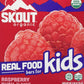 Skout Organic Raspberry Rush Kids Bar 5.1 Oz