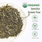 Organic Sencha Green Tea Loose Leaf - 3.53oz/100g  USDA Organic  Whole Leaf Green Tea  VitalForest enhanced Steam-Fixed Green Tea  Mild Umami Taste