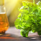 Lemon Balm (Herbal Tea): (Melissa Officinalis Caffeine Free) - Balm Leaf (Cut and Sifted)  1lb (16Oz) U.S. Wellness Bulk Tea