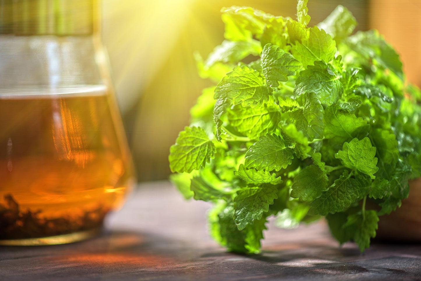 Lemon Balm (Herbal Tea): (Melissa Officinalis Caffeine Free) - Balm Leaf (Cut and Sifted)  1lb (16Oz) U.S. Wellness Bulk Tea
