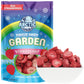Arctic Farms Gardren Pure Freeze Dried Fruits, No Sugar Added, Crunchy Snacks (Organic Strawberry Slices)