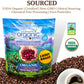 Subtle Earth Organic Coffee - Light Roast - Whole Bean Coffee - 100% Arabica Beans - Low Acidity And Non-Gmo - 2Lb Bag