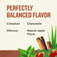 Celestial Seasonings Cinnamon Apple Spice Herbal Tea, Caffeine Free, 20 Bags, Pack of 6