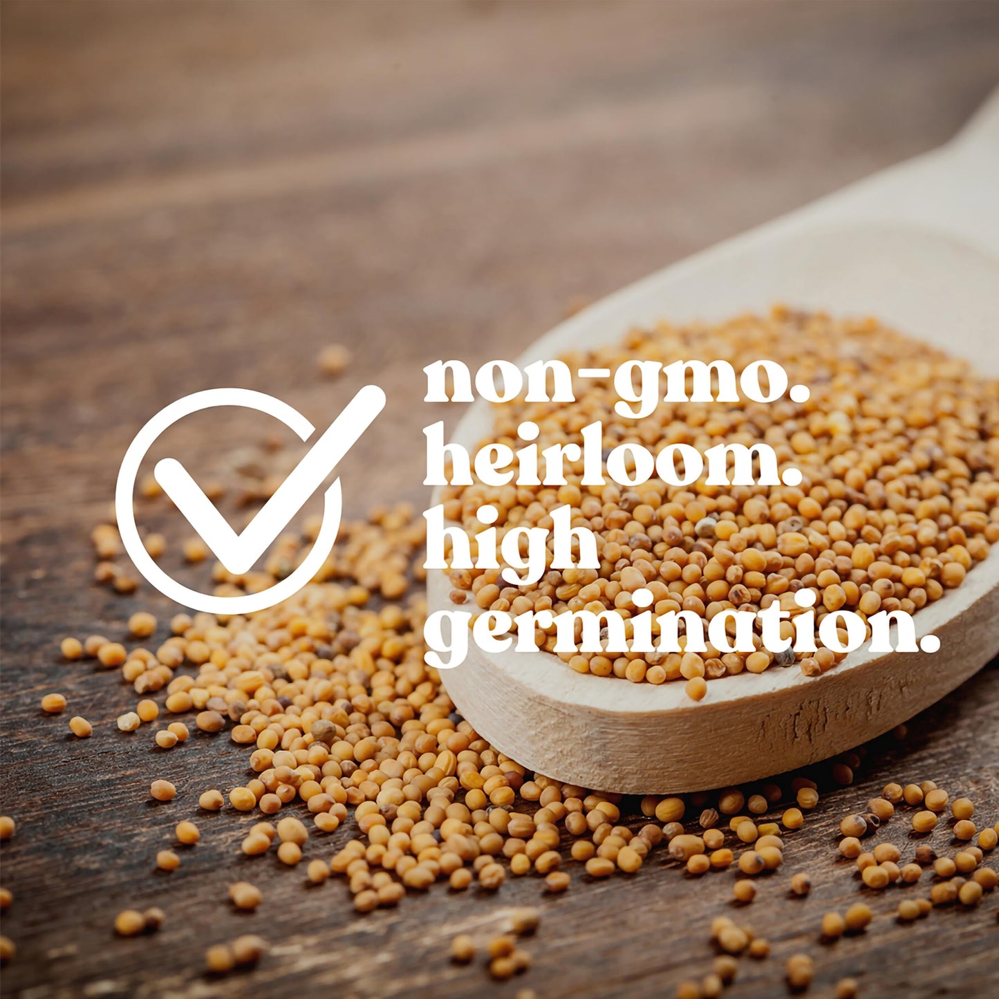 25 Lb Bulk Non-Gmo Organic Whole Oat Groats (W/Husk) - Gluten Free Organic Oats - Whole Oats Organic For Sprouts, Steel Cut Oats