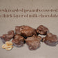 Goodland Farms Milk Chocolate Peanut Clusters, 2 Pounds - Chocolate Covered Peanuts, Wholesale Bulk Candy