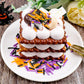 Halloween Sprinkles for Decorating Edible Set 4  320g/11.3oz with Orange Sanding Sugar  Pumpkin  Bat  Ghost  Candy Eyes and Jimmies  Ideal for Cake  Cupcake  Ice Cream  Cookie Toppings