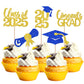 YCTHUNFISH 30 Pack Graduation Cupcake Toppers, Gold Blue Glitter, Bamboo Picks for Class of 2025 Party Decorations