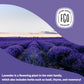 FGO Organic Dried Lavender Flowers, From France, 16oz, Packaging May Vary (Pack of 1)