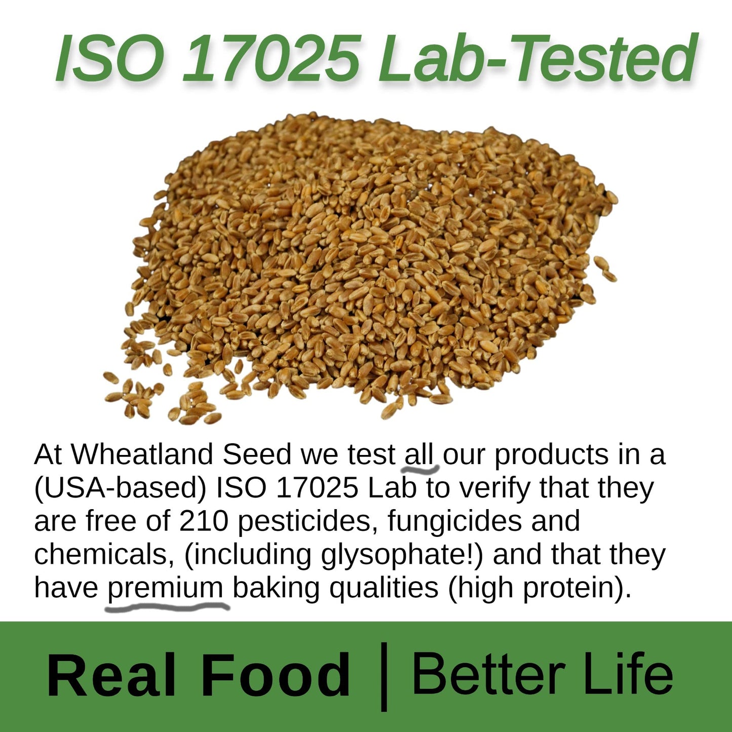 WHEATLAND Organic Hard Red Wheat Berries - 20lb Bucket, Sealed in Mylar, Emergency Food Storage, 25 yr Shelf Life