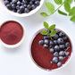 Food to Live Organic Blueberry Powder, 1 Pound - Non-GMO, Unsulfured, Raw, Vegan, Bulk, Great for Juices, Smoothies, and Instant