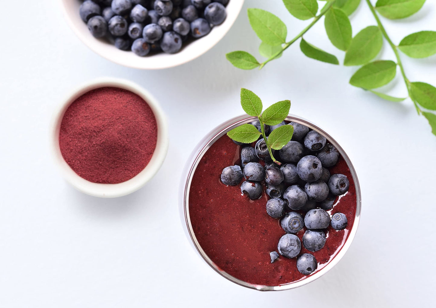 Food to Live Organic Blueberry Powder, 7 Pounds - Non-GMO, Unsulfured, Raw, Vegan, Bulk, Great for Juices, Smoothies, and Instan