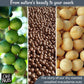 Oh! Nuts Macadamia Nuts - 3 lb - Dry Roasted Unsalted Macadamia Nuts - Oven Roasted - No Oil - Packed in New York Zip-Seal Bag for Exceptional Freshness