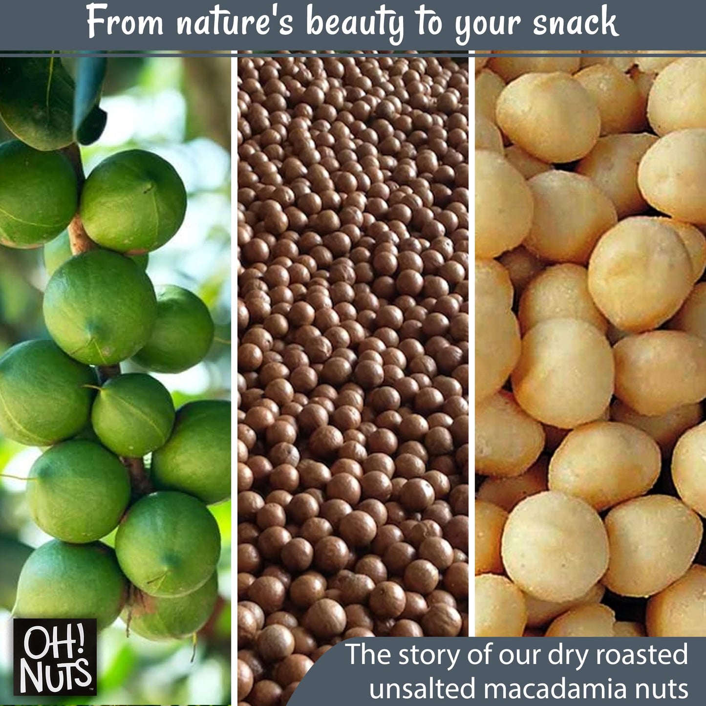 Oh! Nuts Macadamia Nuts - 3 lb - Dry Roasted Unsalted Macadamia Nuts - Oven Roasted - No Oil - Packed in New York Zip-Seal Bag for Exceptional Freshness