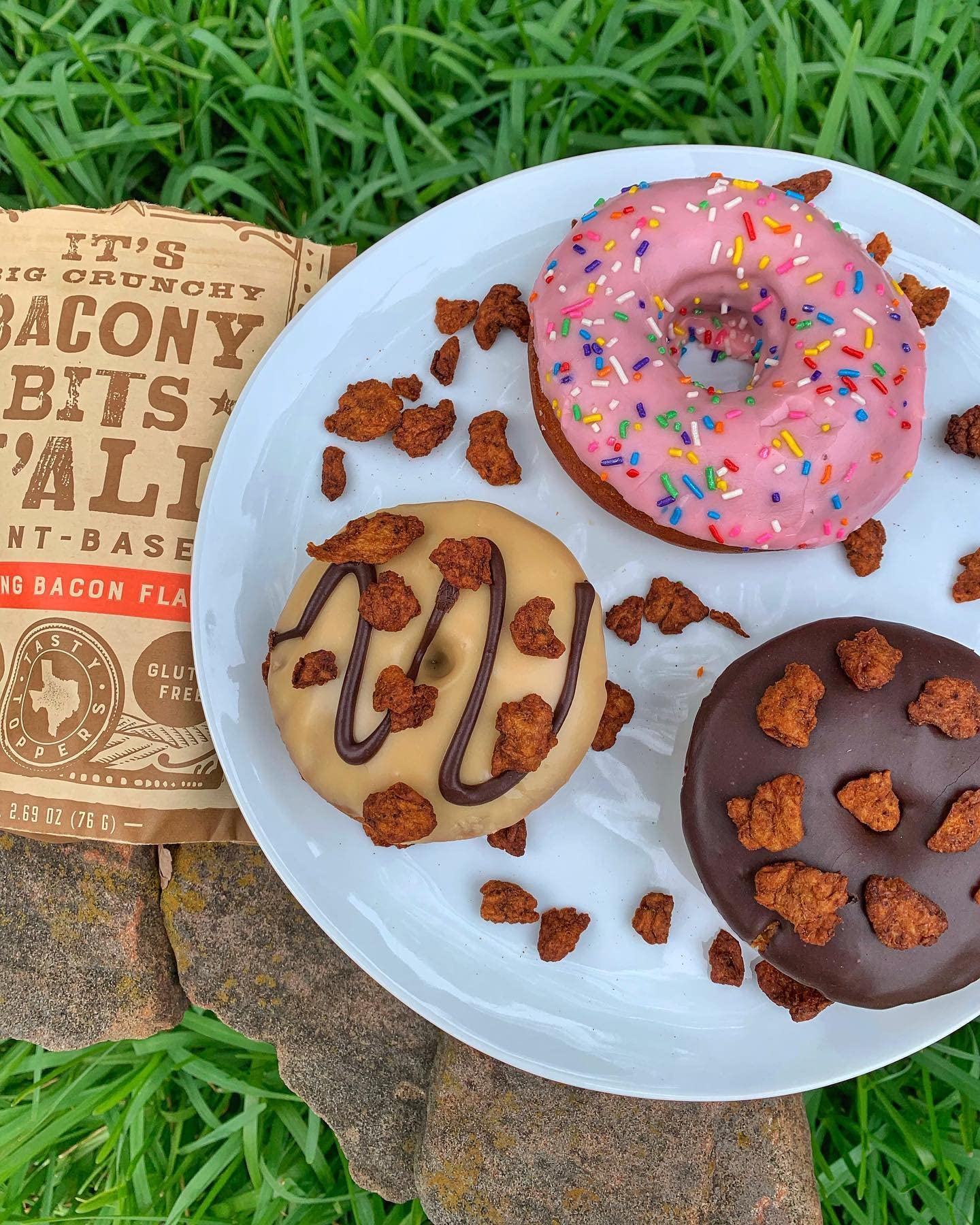 All Y'alls Foods Vegan Bacon Bits - Big and Crunchy - Plant Based, Non-GMO, Gluten Free, High Protein (6-Pack)