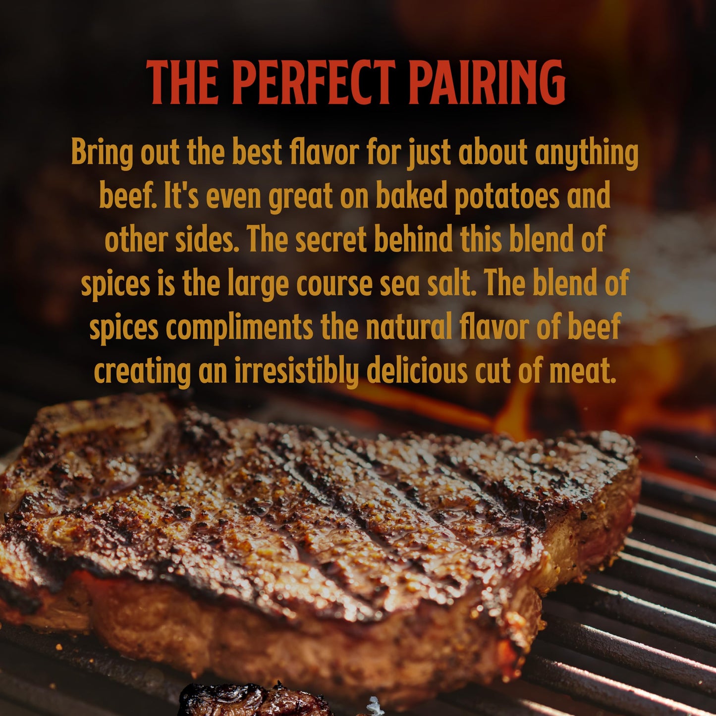 Big Poppa Smokers Double Secret Steak Seasoning, Gluten-Free BBQ Spice Blend, 80 oz (5 lb) Bag