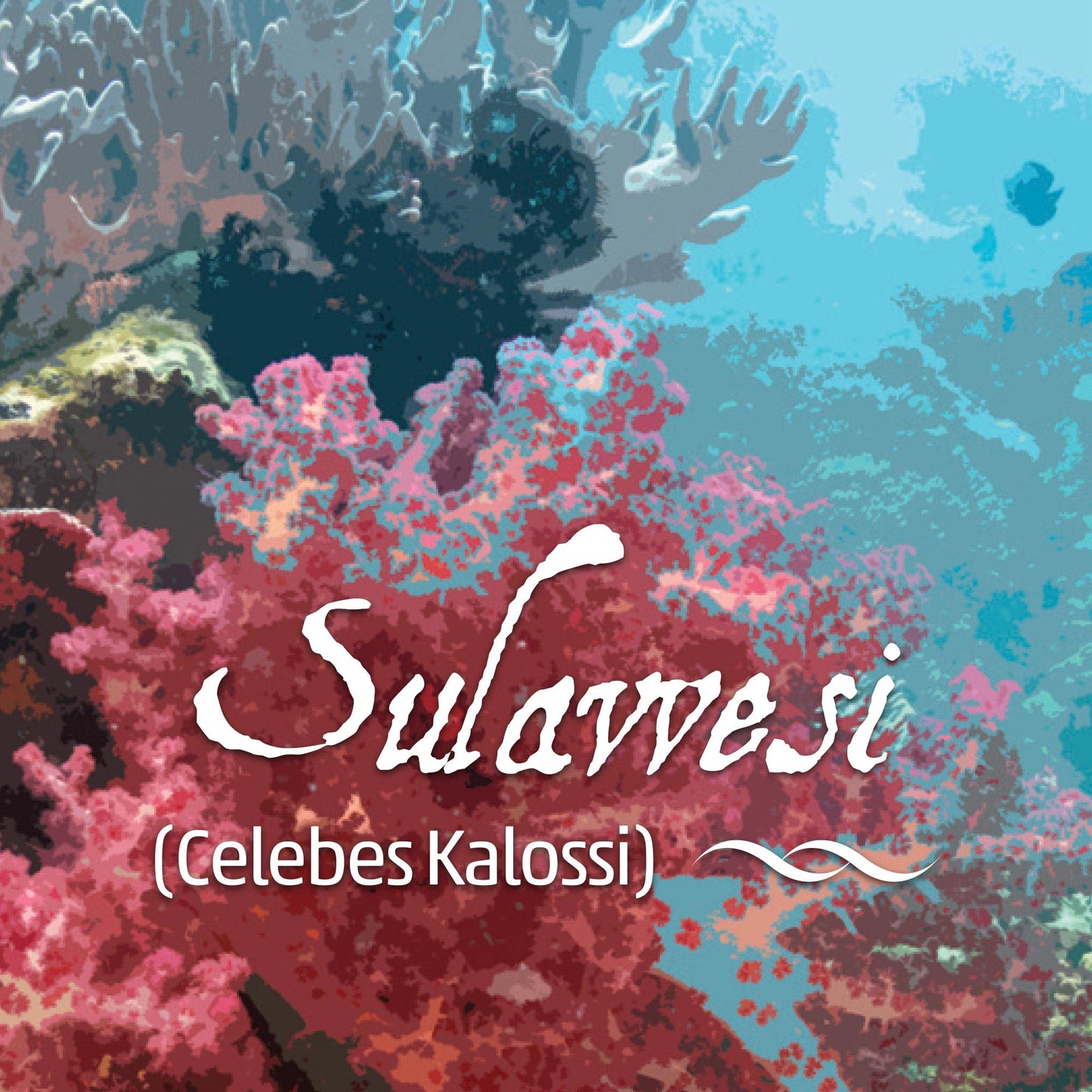 Sulawesi, Celebes Kalossi Coffee, Fresh Roasted, Whole Bean, 16 Ounces