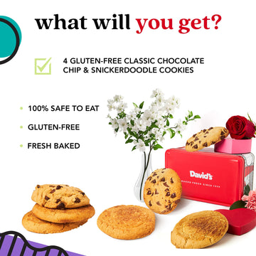 DAVIDS COOKIES Gluten-Free Cookie Gift Sampler Tin - Chocolate Chip & Snickerdoodle - 5x5x5 Inches