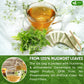 FRESHDRINKUS Premium Mugwort Leaf Tea Bags, 100% Natural, Vegan, 120 Count