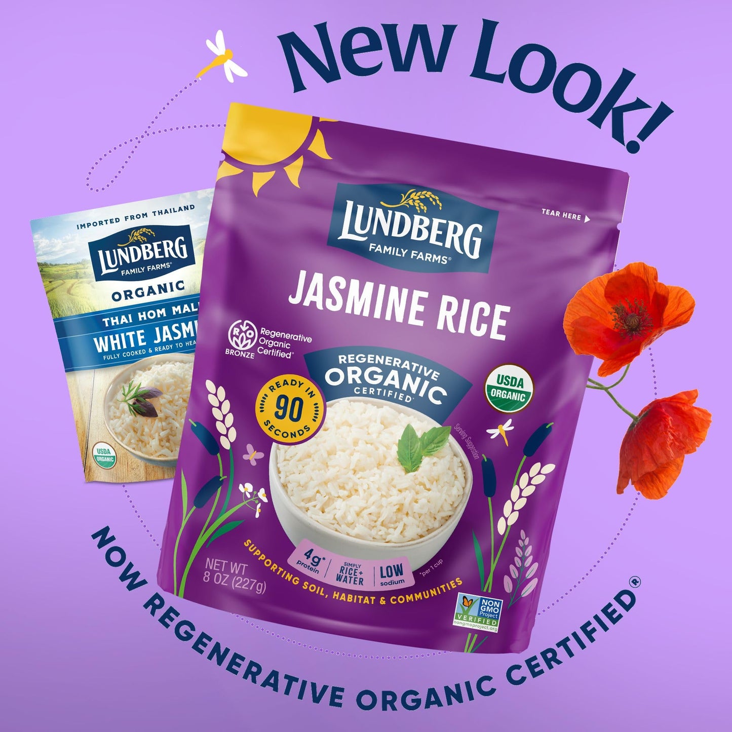 Lundberg Family Farms Organic White Jasmine Rice Thai Hom Mali 8 Oz