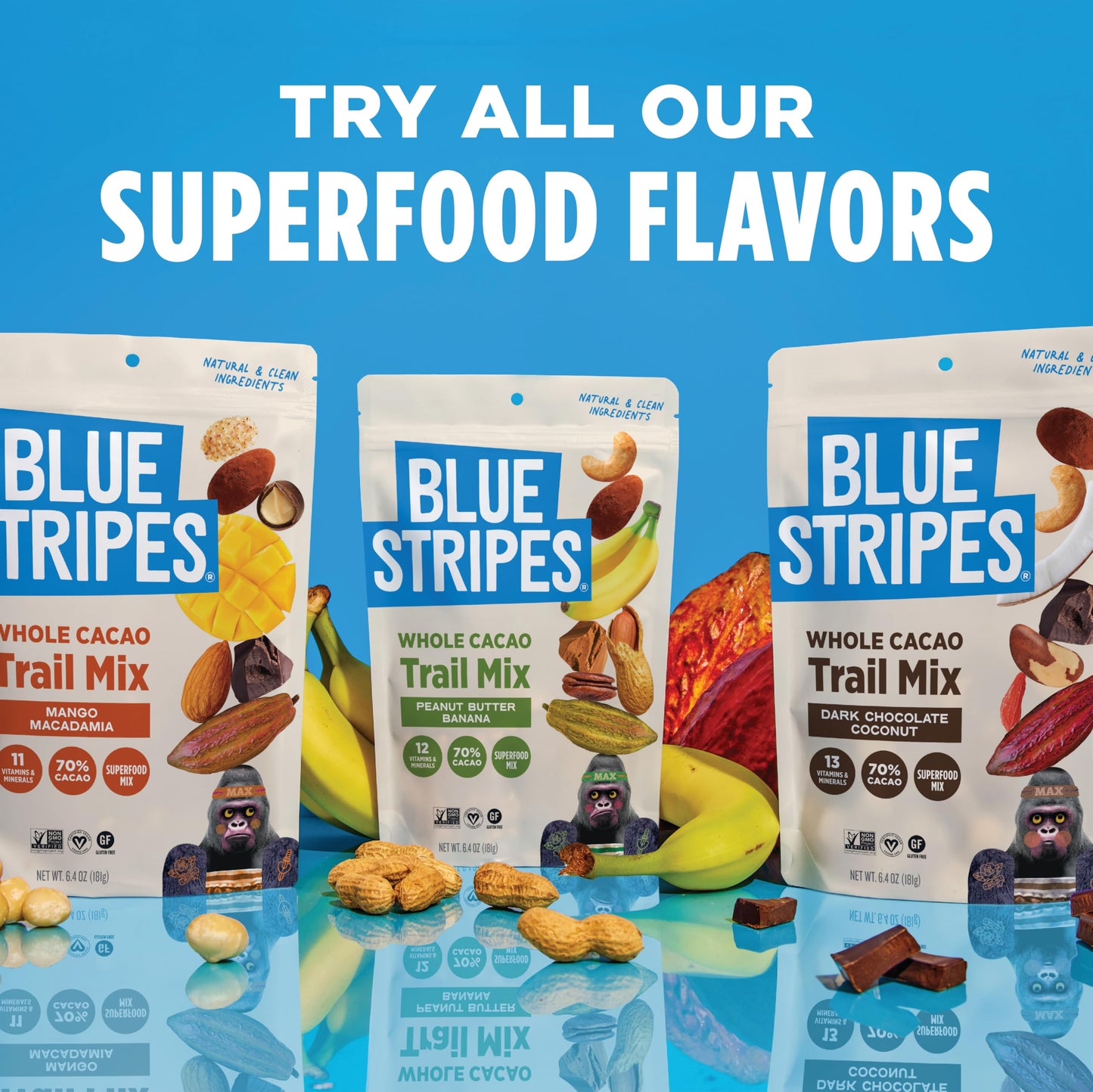 Blue Stripes - Trail Mix, 70% Chocolate Chips, Almonds, Macadamia Nuts, Mango, Healthy Snacks for Adults, Whole 70% Cacao, With