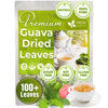 FRESHDRINKUS Natural Guava Leaves Herbal Tea, 100% Pure, 100 Count, Caffeine-Free, Vegan