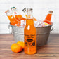Ultimate Orange Soda Sampler - Mix Variety Case - Gourmet Sodas From All Around The Country - Choose Your Flavor - 12Oz (Orange