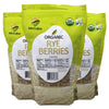 McCabe Organic Rye Berries - Whole Rye Berries 2 Lbs Pack of 3 | USDA Certified Organic and CCOF Certified | Product of USA