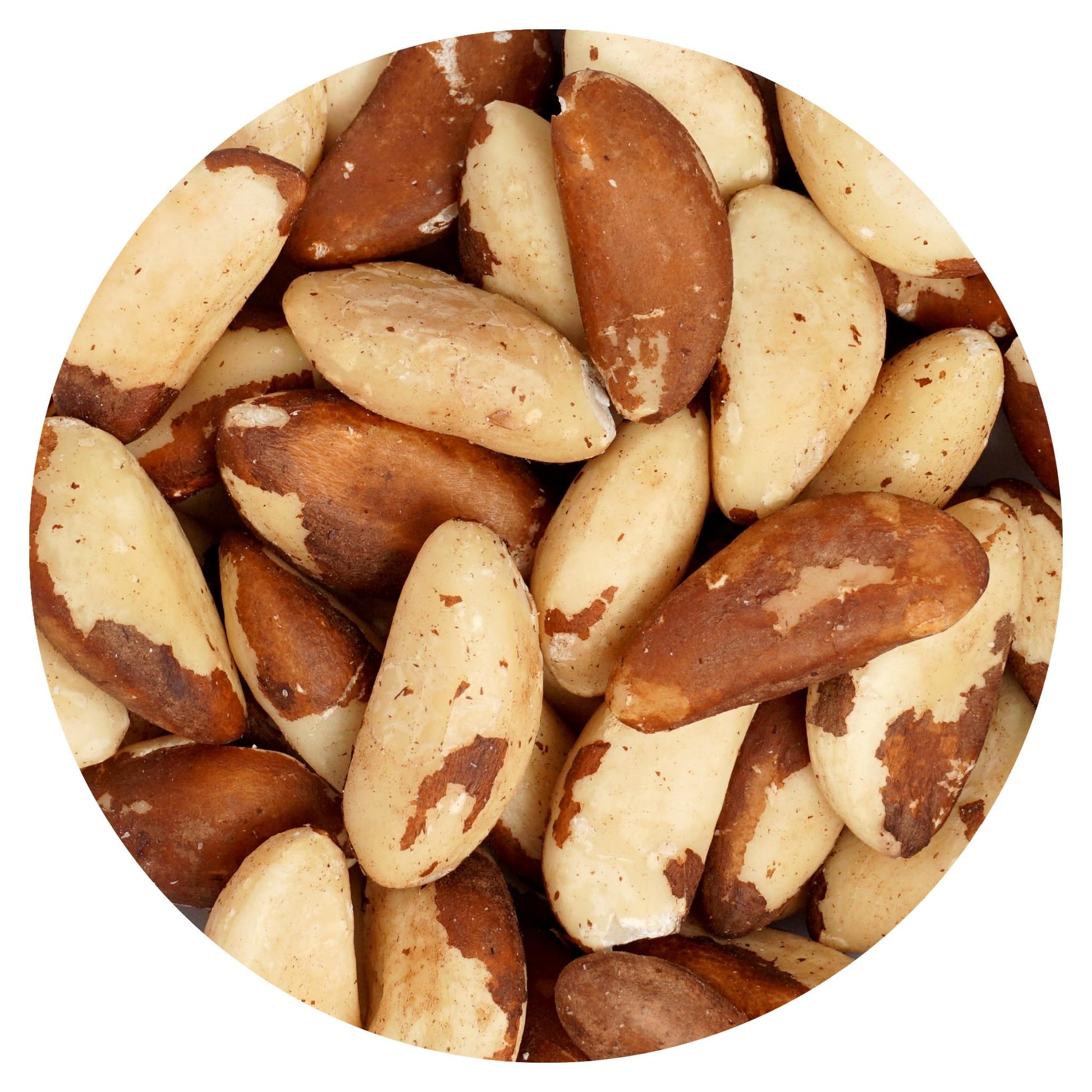 Hampton Distribution Raw Brazil Nuts, Whole, No Shell, 1 Pound Bag