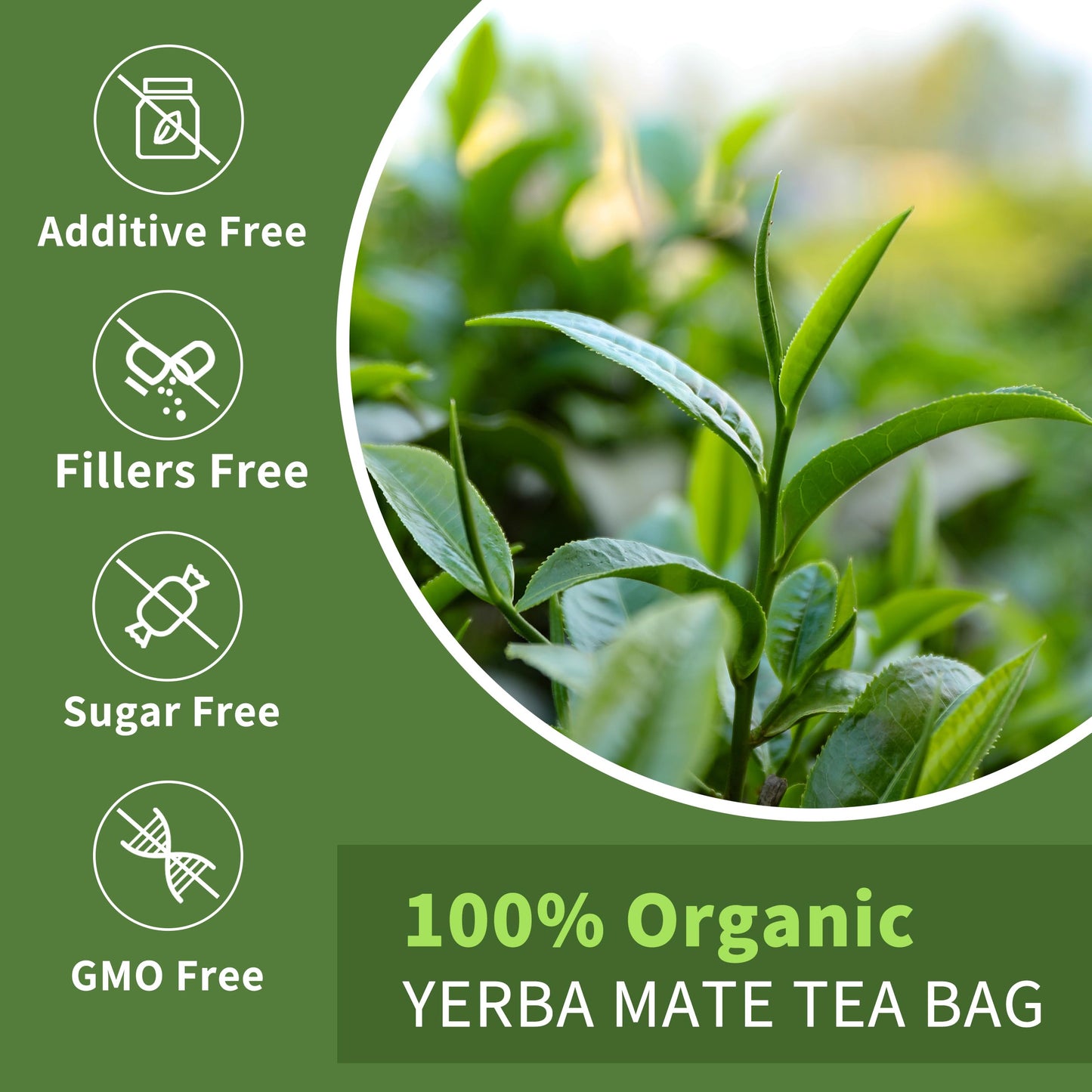 Hudetex Yerba Mate Tea Bags - 50 Count - Supports Cardiovascular & Digestive Systems