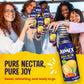 Jumex Guava Nectar - Insulated BPA-Free Aluminum Can, 16 Fl Oz (Pack of 12)