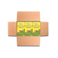 Miracle Tree's Moringa Energy Tea - Green Tea, Ginger & Lemon | Super Caffeinated Blend | Healthy Coffee Alternative, Perfect fo