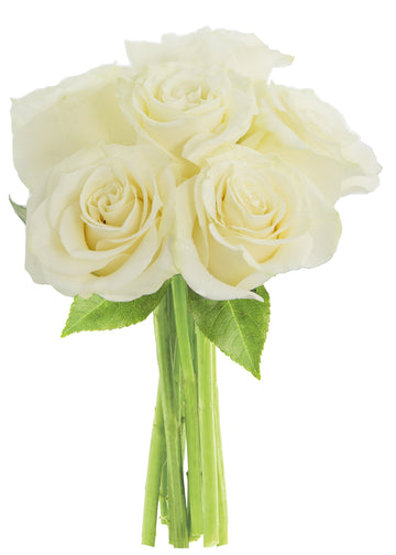KaBloom PRIME NEXT DAY DELIVERY - Fall Collection - Graceful White Roses (Half Dozen) - Without Vase|Gift for Birthday, Annivers