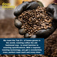 Door County Coffee Gourmet Fall Flavored Coffee Sampler Pack - 10 Bags, 1.5 Ounce Each, Brown