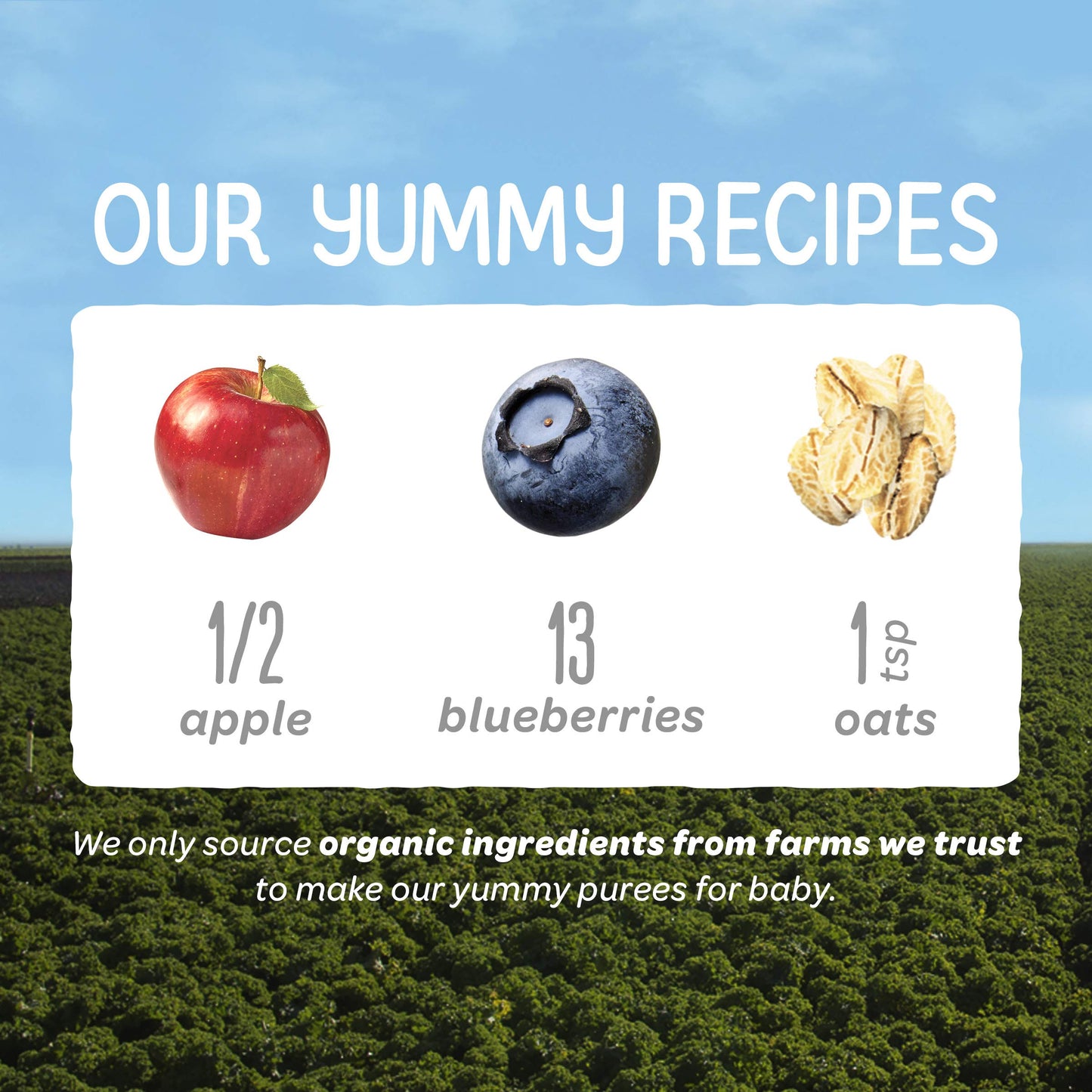 Happy Baby Organics Stage 2 Baby Food Pouches, Gluten Free, Vegan & Healthy Snack, Clearly Crafted Oat & Fruit Puree, Apples, Bl