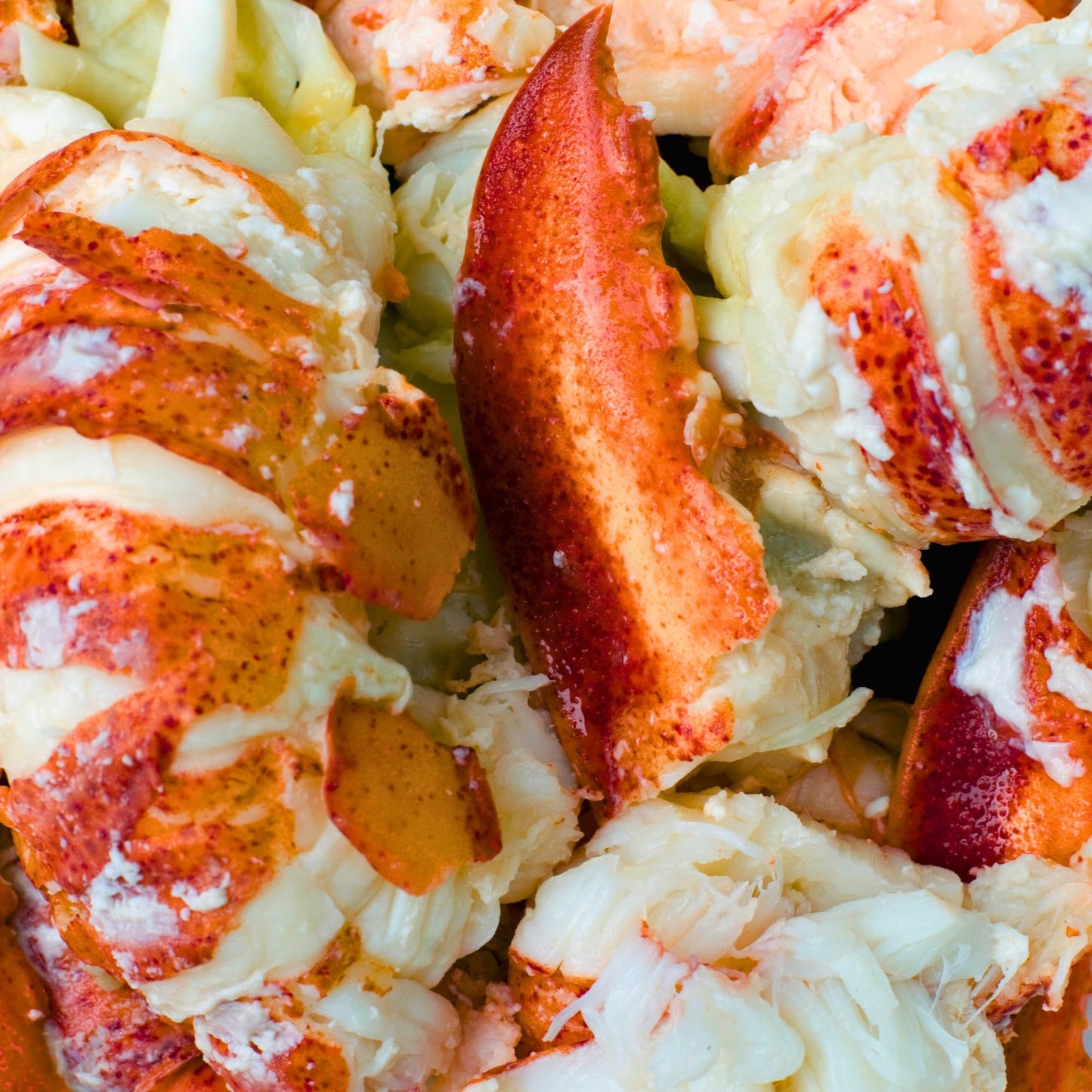 Today Gourmet Foods of NC Lobster Meat - Knuckle, Leg & Claw - 2 lbs