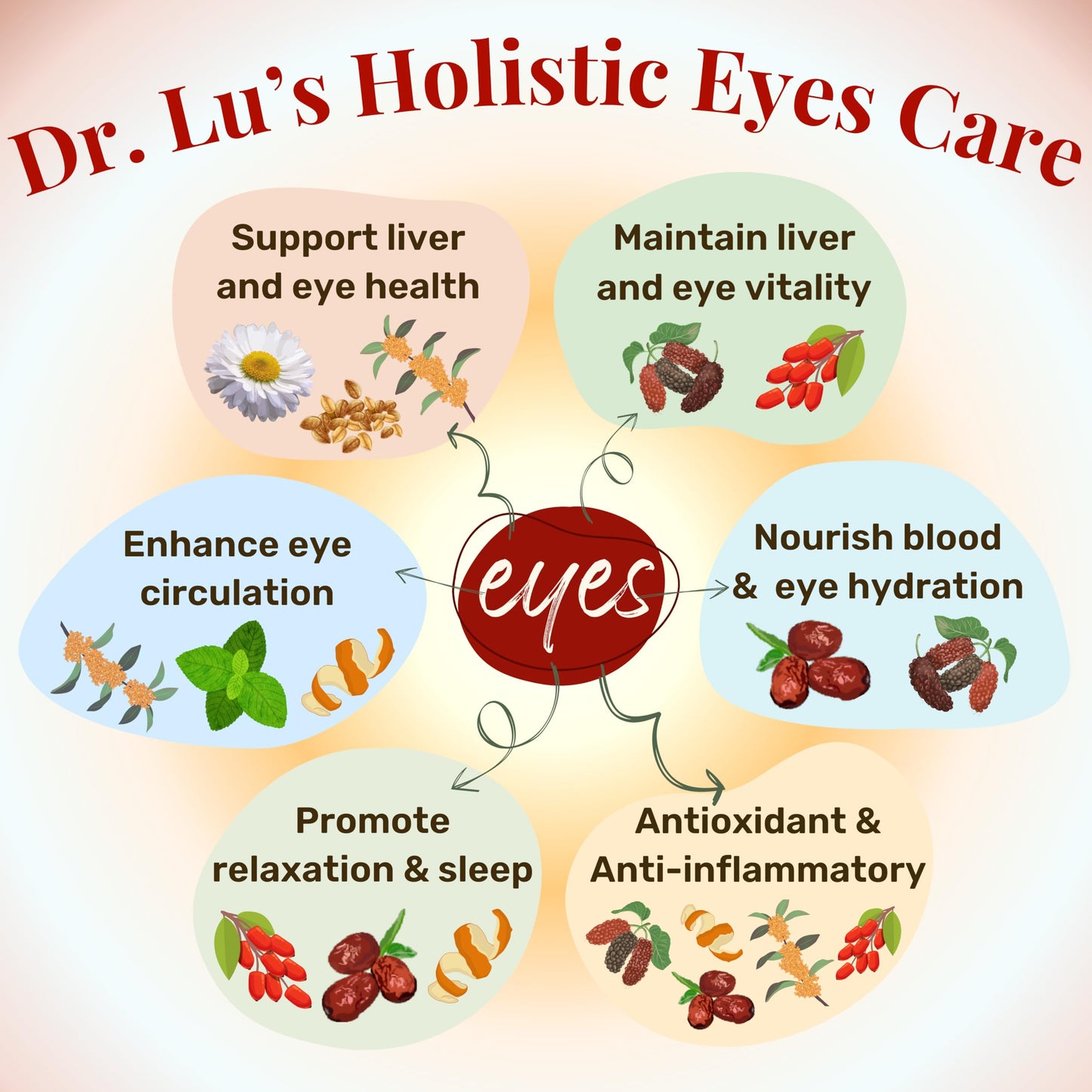Dr. Lu Happy Eyes Tea - Eyebright Herbal Tea for Eye Health - 15 Count Pack - Chrysanthemum, Cassia Seed, Goji Berries, Mulberries