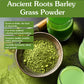 Ancient Roots Barley Grass Powder - 100% Pure, Non-GMO, Gluten-Free - 10.5 oz Resealable Bag