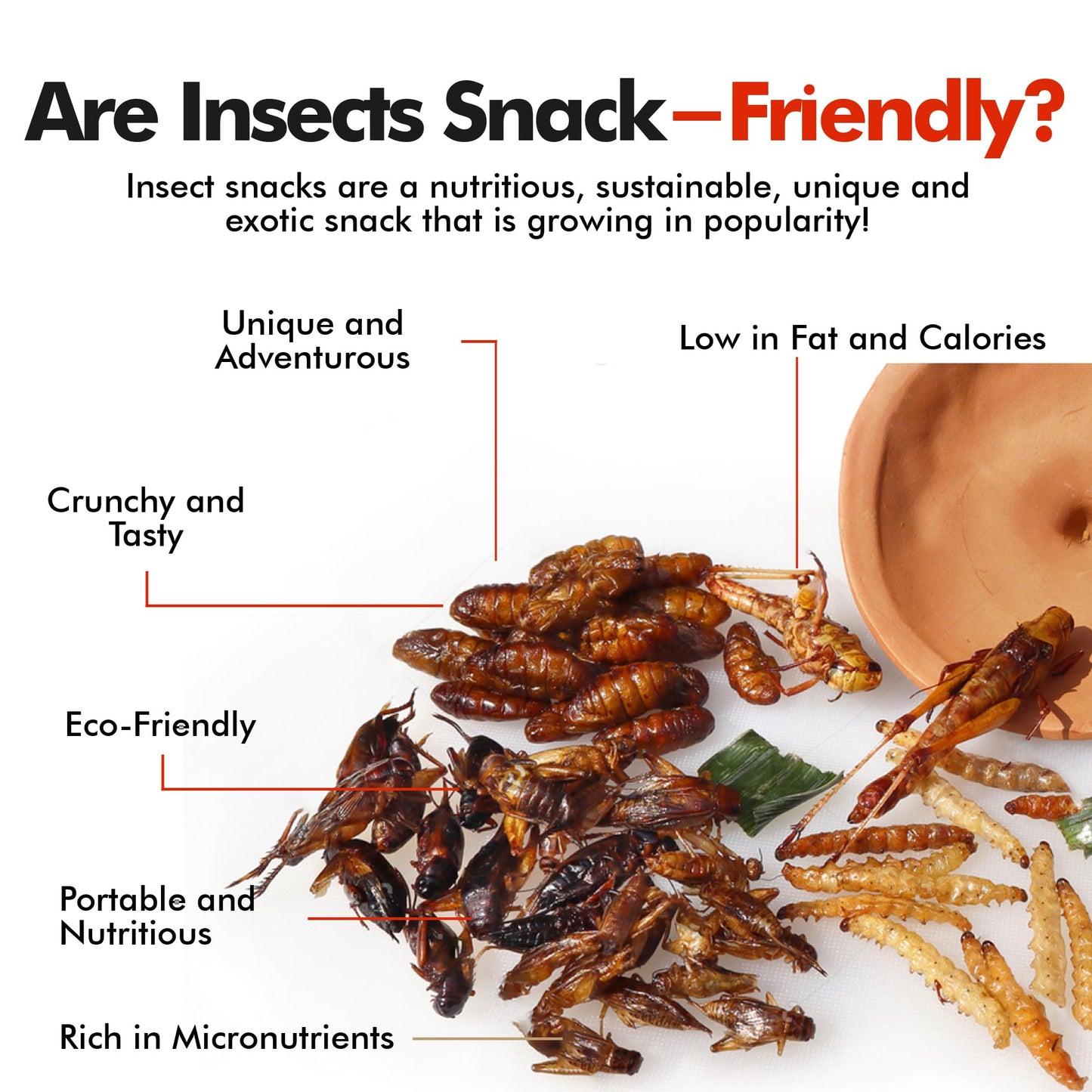 Jerky-n-Spice HotLix Crick-ettes Edible Bugs 3-Pack | Dried Crickets | Great for Exotic Snacks & Parties | 3 Flavors