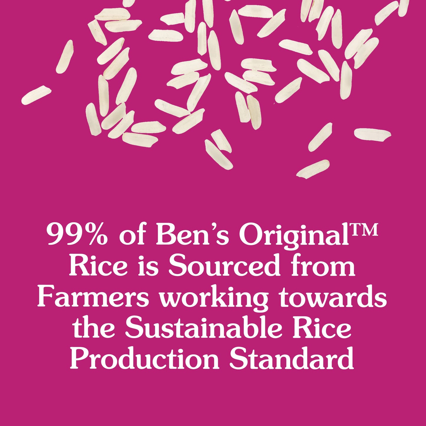 BEN'S ORIGINAL READY RICE Garden Vegetable Medley Flavored Rice, Family Size, 17.3 OZ Pouch (Pack of 6)