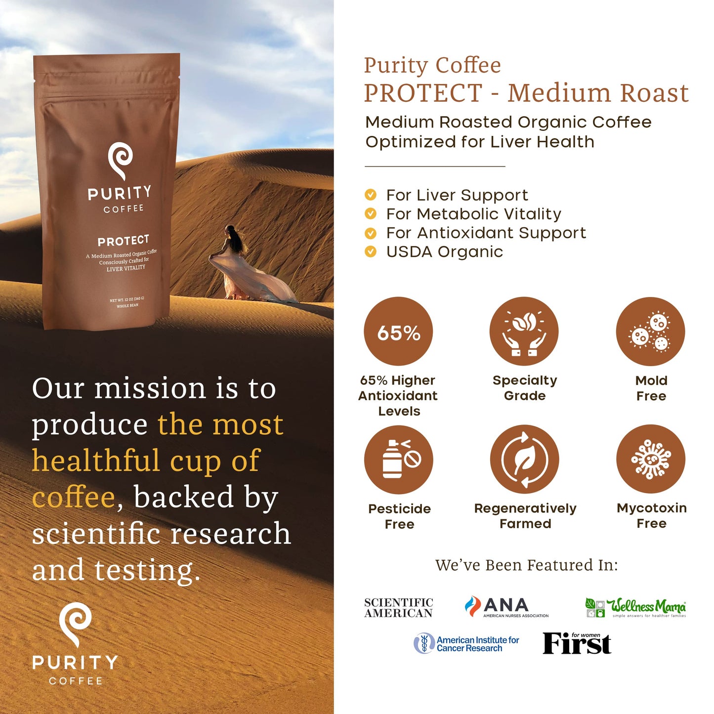 Purity Coffee PROTECT Highest Antioxidant Light-Medium Roast - USDA Certified Organic Specialty Grade Arabica Whole Bean Coffee