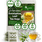 TOG999 Premium Eucalyptus Leaf Herbal Tea Bags, 100% Natural, 100 Bags, No Caffeine, Vegan