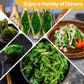 Oceanzen: Wakame Seasoned Sesame Seaweed Salad 4.4Lb,Dark Green,Premium Quality, Japanese Restaurant Quality Edible Leafy Seawee