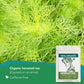Super Value Pack 5 LB - Organic Horsetail Herb Bulk (Equisetum arvense) - Loose Dried Horsetail Grass for Beauty and Wellness