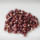 Amish Country Popcorn | 2-14 oz Bottles | Red Popcorn Kernels | Old Fashioned, Non-GMO and Gluten Free (2-14 oz Bottles)