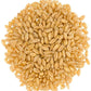 Hard White Wheat Berries | 25 Lbs | Emergency Food Storage Bucket | Non-Gmo | Grown On Our Family Farm | Bulk