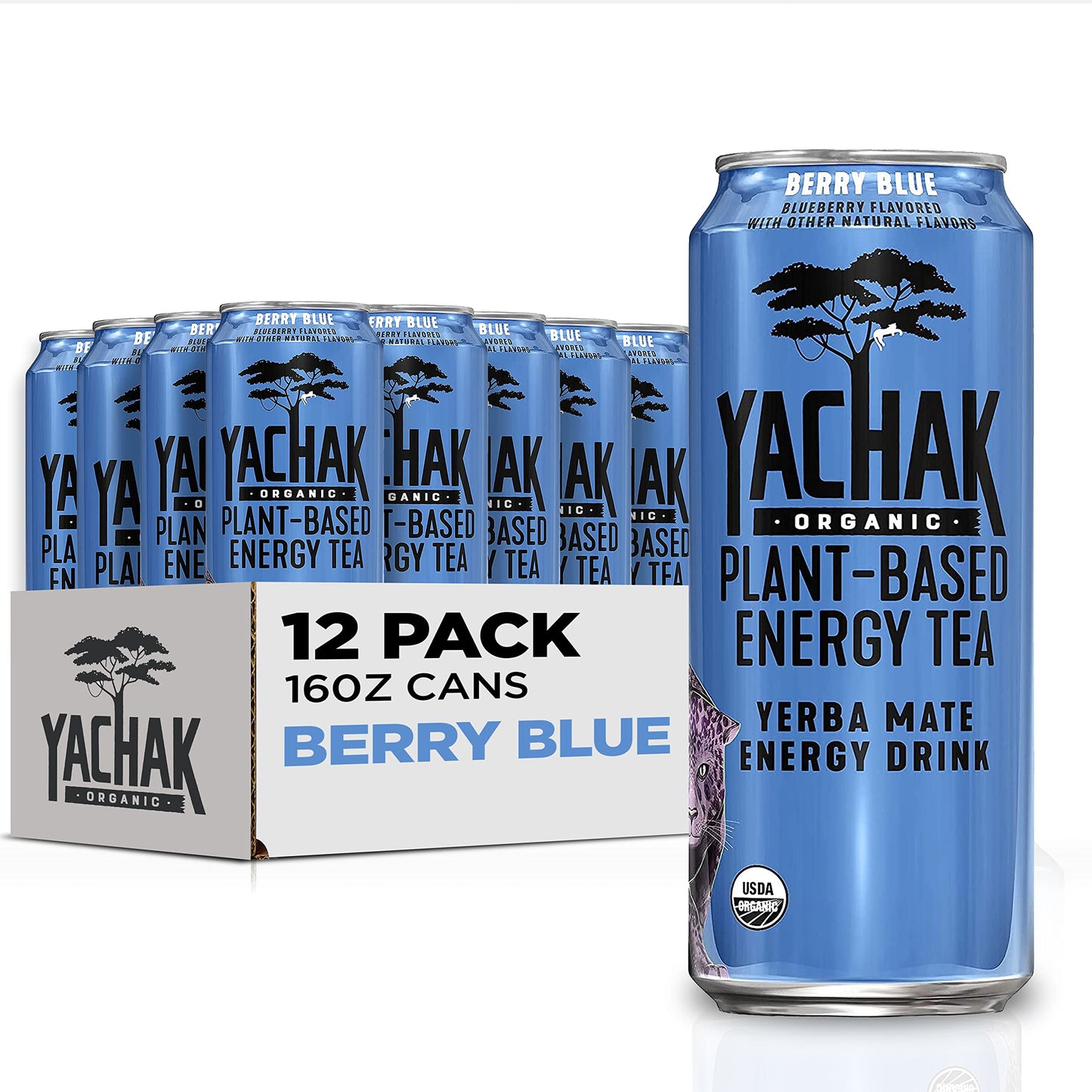 Yachak Yerba Mate, Berry Blue Flavor, 16 Fl Oz, Pack of 12