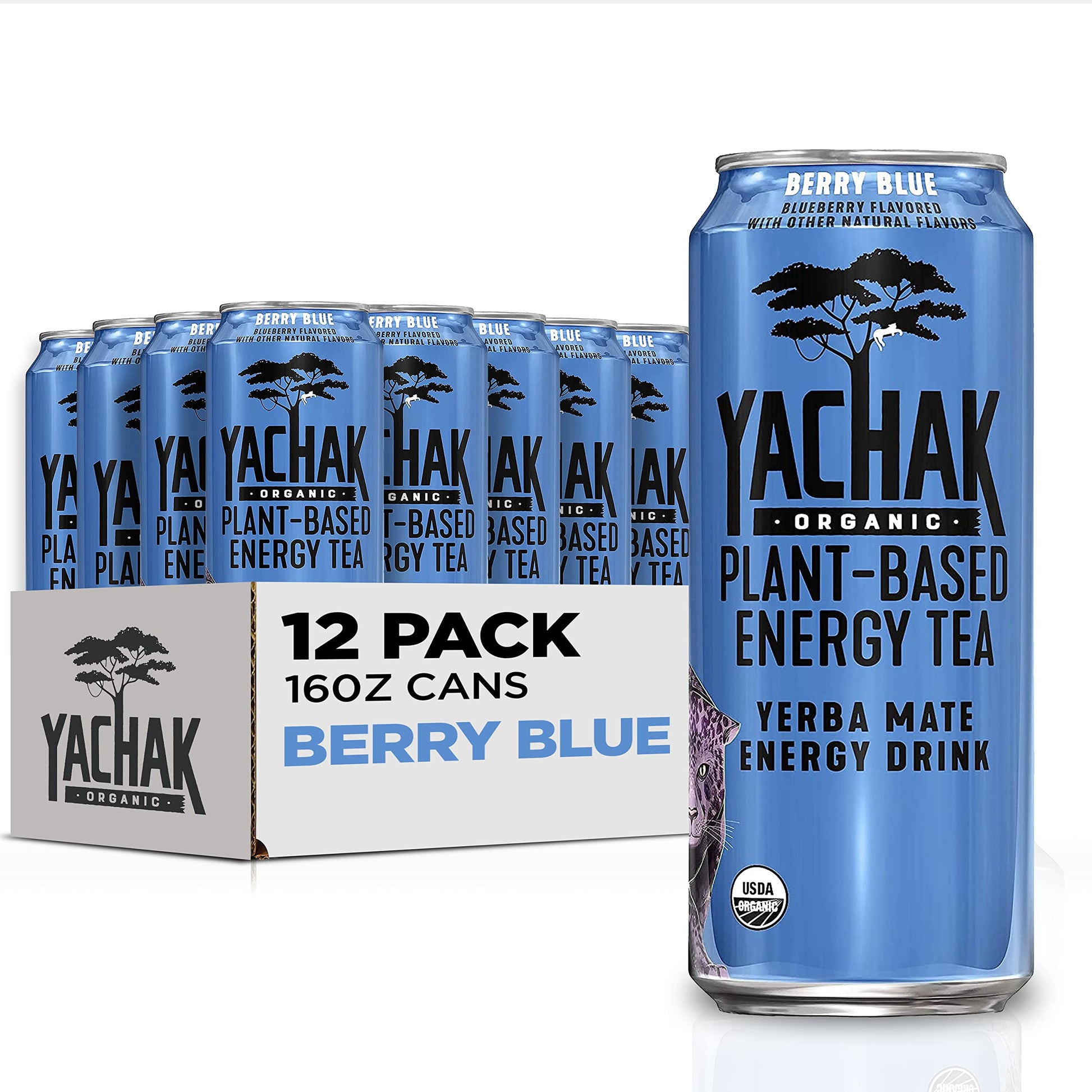 Yachak Yerba Mate, Berry Blue Flavor, 16 Fl Oz, Pack of 12